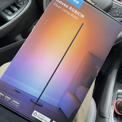 Govee floor Lamp