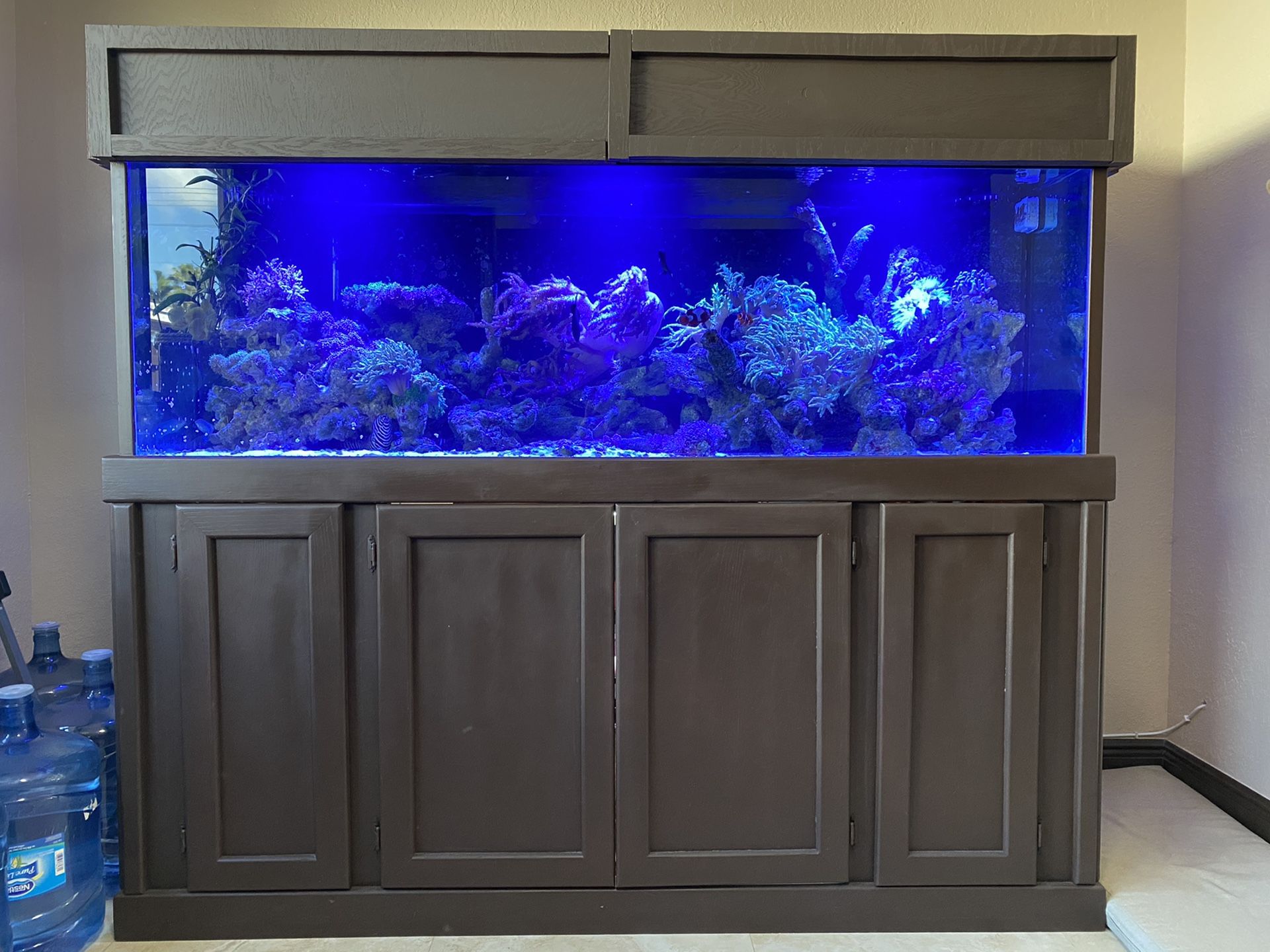 180 Gallon Saltwater Aquarium for Sale in Hialeah, FL OfferUp