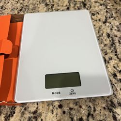 Electronic Food Scale 