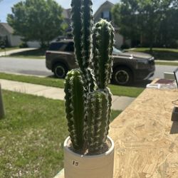 Faux Potted Cactus 