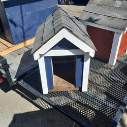 Dog House