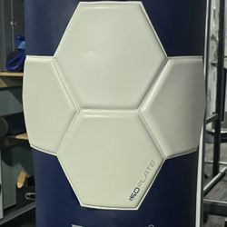 Everlast ISOPLATE Heavy Bag – Excellent Condition-OBO