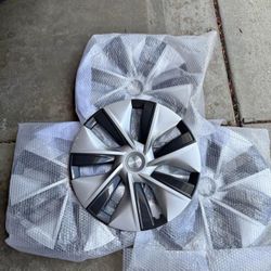 Model Y Wheel Caps