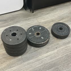 30LBS WEIGHT PLATES FOR DUMBBELLS