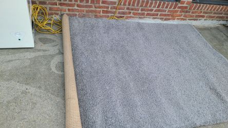 Gray Shag Rug