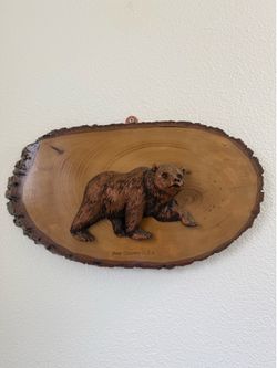 USA Bear