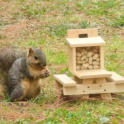 Wooden Squirrel Picnic Table Feeder
