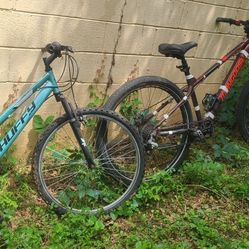 Mongoose And Huffy Brand Bikes