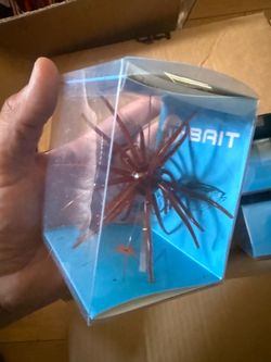 Coike baits for Sale! Going Fast