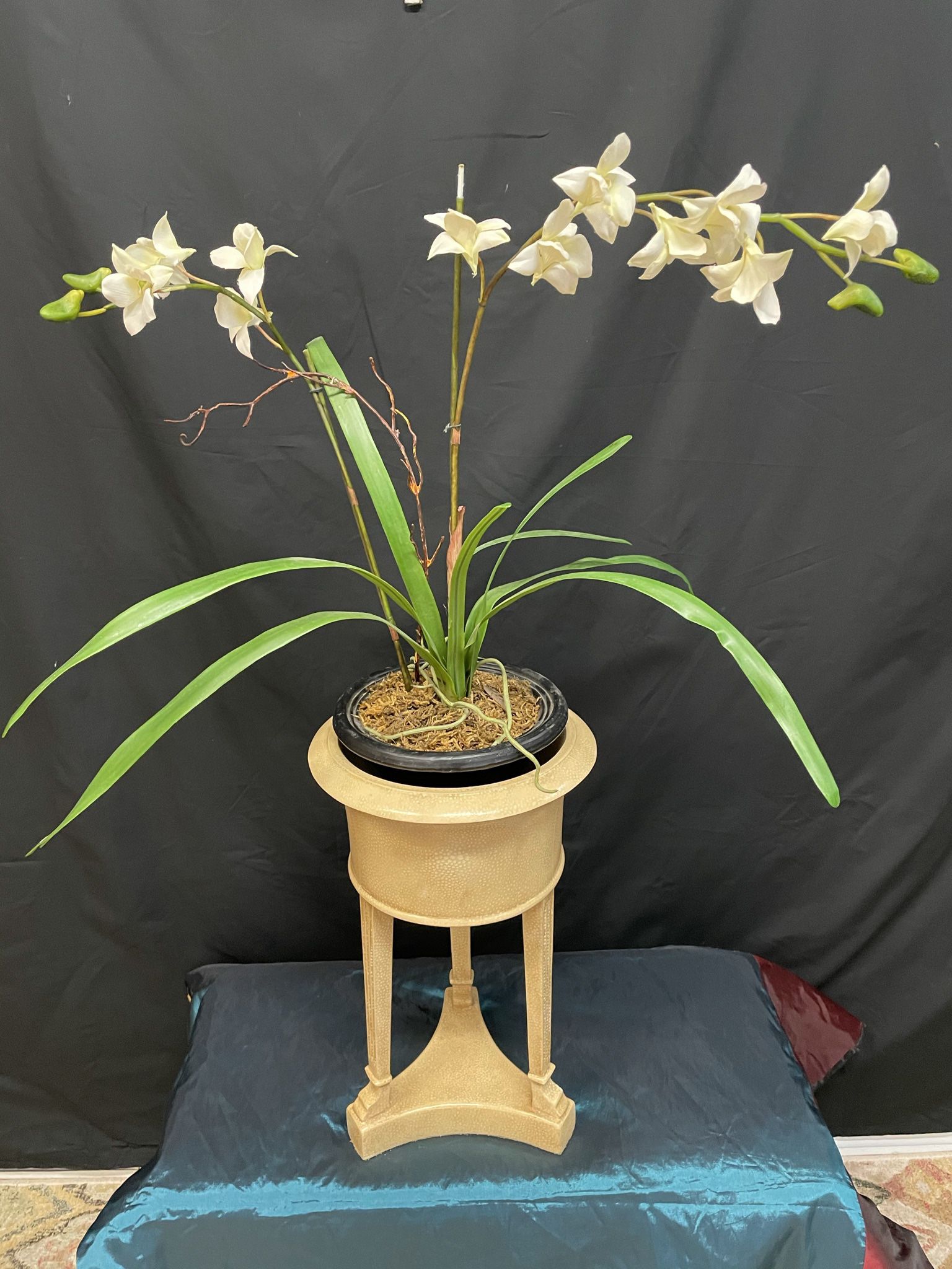 Beige Color Plant Stand Height 16”x10” Weighted (Plant Not Included)