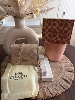 Mini Chain Wallet Crossbody