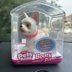 Pets Alive (Booty SHAKIN’ Pups!)