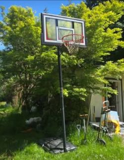 Basketball Hoop/Stand