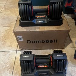 Adjustable Dumbbell Set of 2 with Quick Adjust and Anti-Slip Texture Handle for Home Gym, Free Weights Dumbbells Set with 55 lbs Pair 110 lbs, 10 in 1