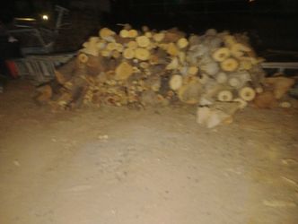 Firewood $100