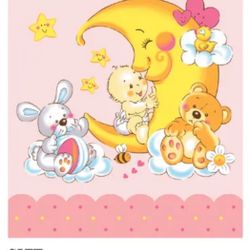 New Baby Girl Blanket