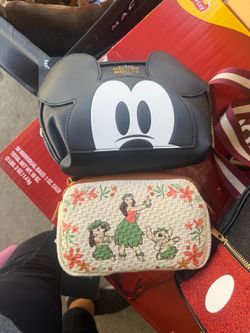 Disney pouches