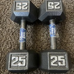 Dumbbells Fitness Gear