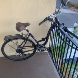 Purple Bike