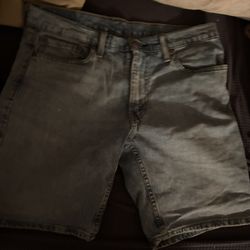 Levis jorts