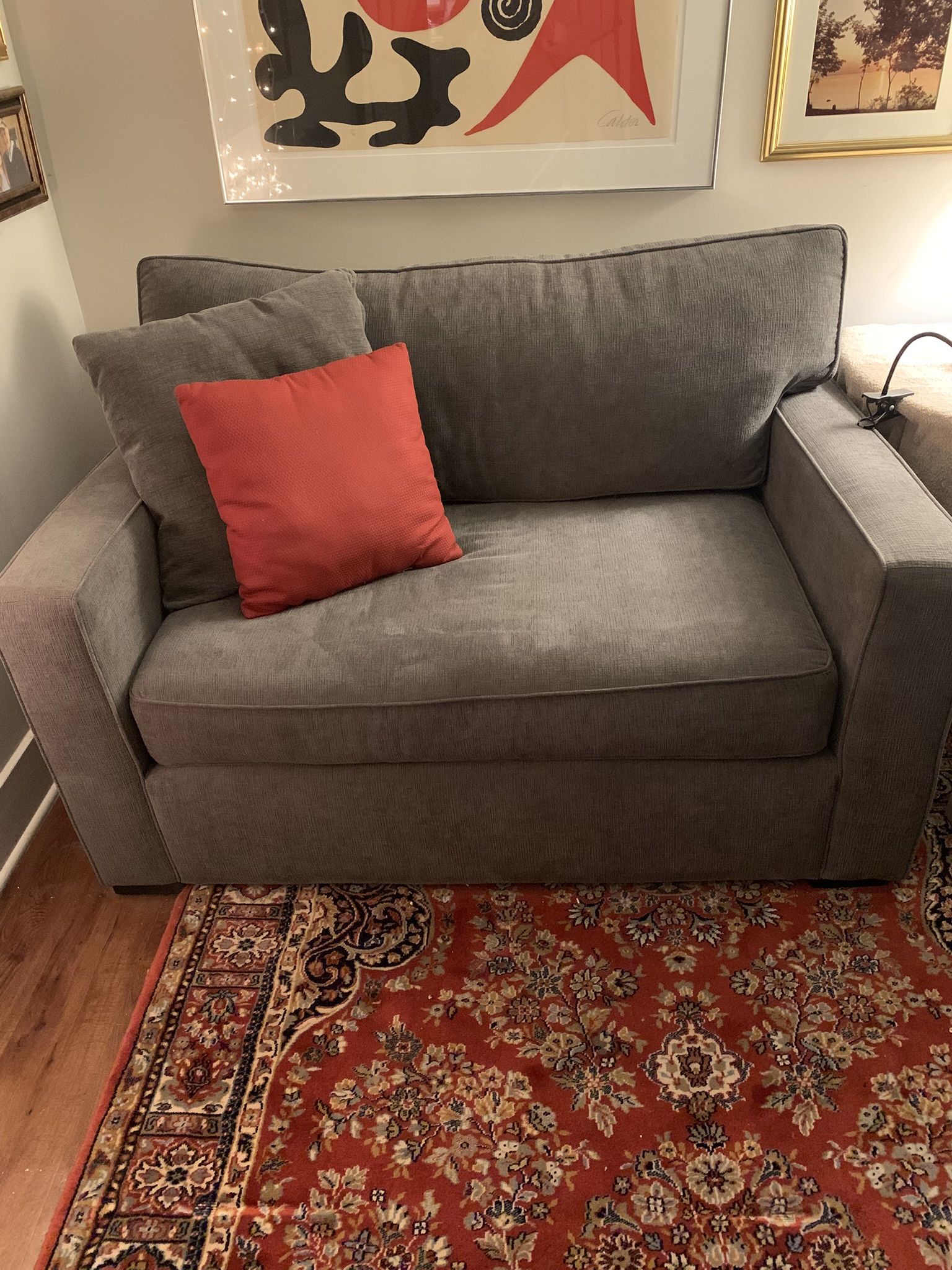 sleeper loveseat