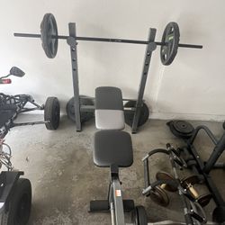 Adjustable Bench Press 