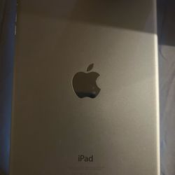 iPad mini 2