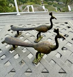Peacock Door Handles (set)