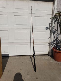 Fishing Pole With Reel