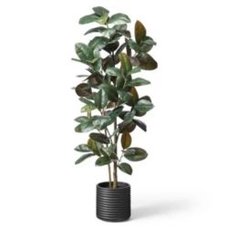Hilton Carter Target Collection Artificial Rubber Tree