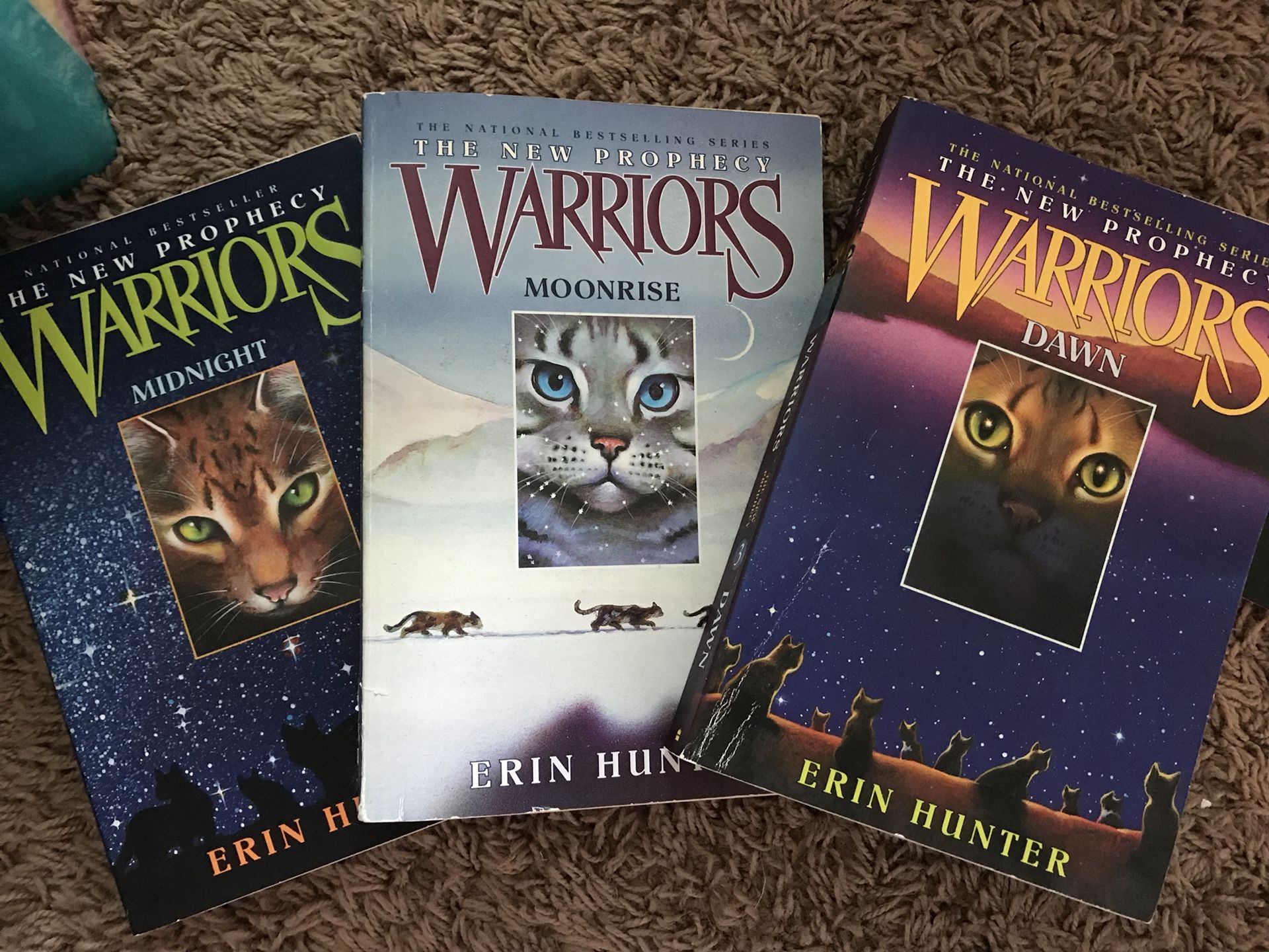 Warrior Cats books - Books - Port Orchard, Washington