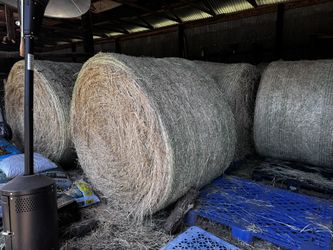 Costal Hay