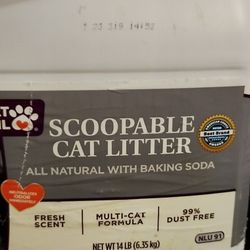 Pet Supplies - Cat Litter Box, Cat Litter, Scooper