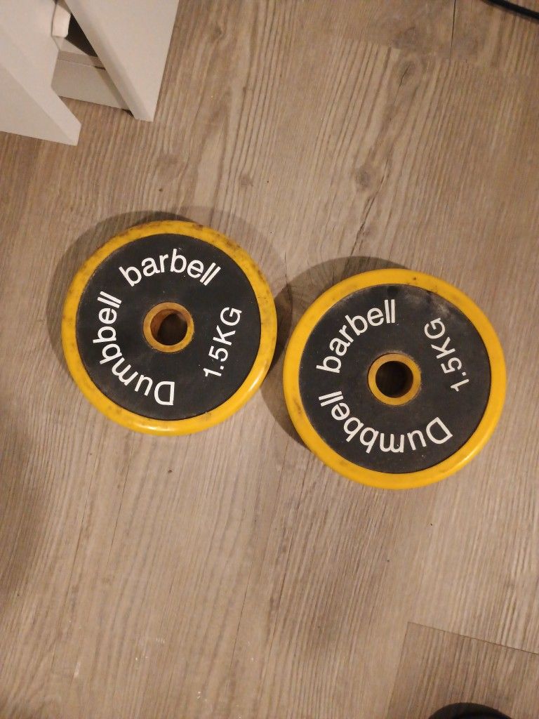 Weights For Dumbbell Curls Sepeecire
