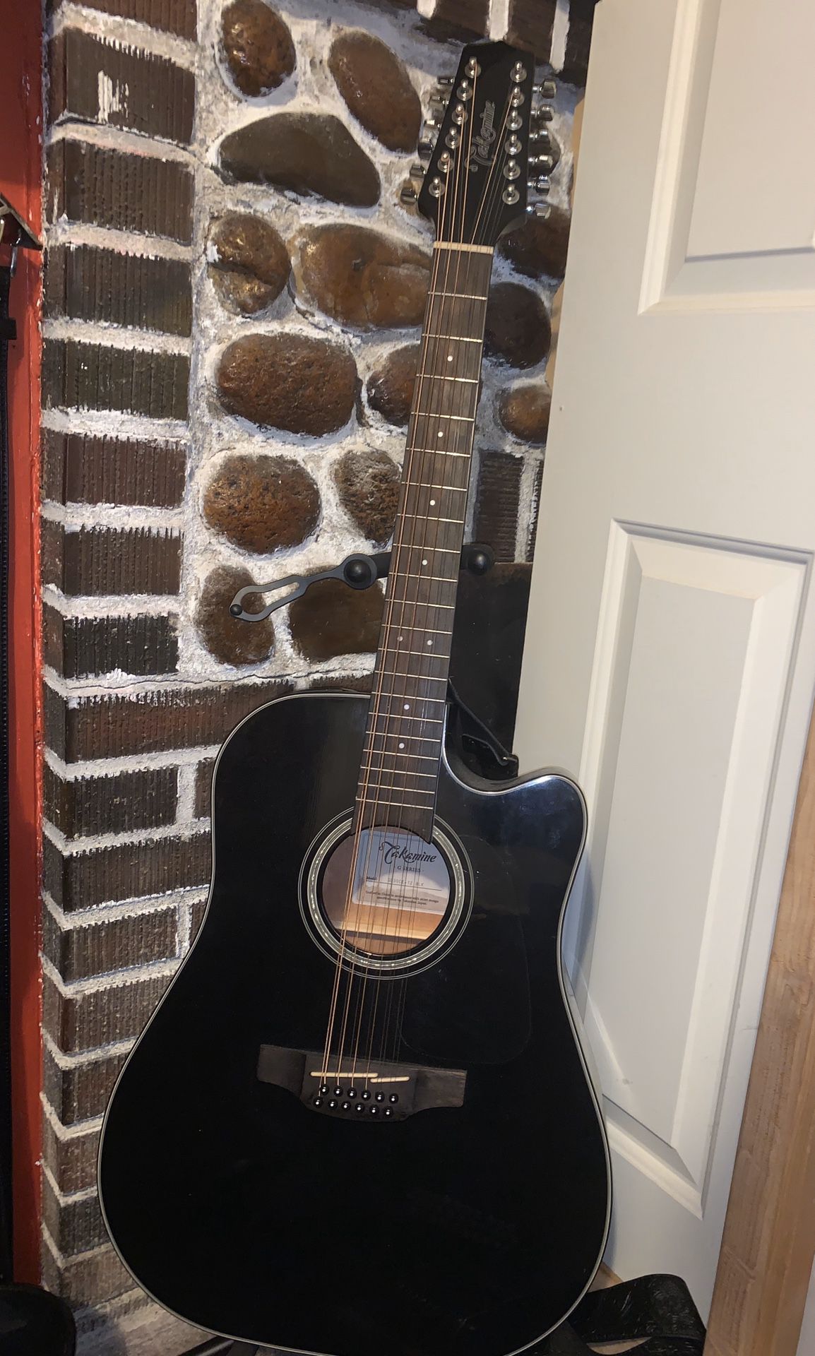 Takamine 12 string guitar