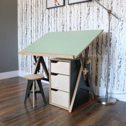 Unique Children's Desk