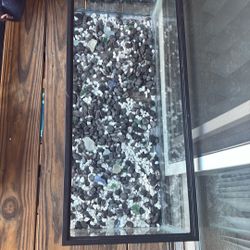 Fish Tanks