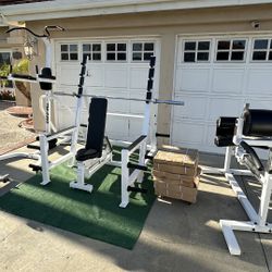 Commercial Grade Home Gym Set Up: EVERYTHING Included ! (please read description) Delivery Available