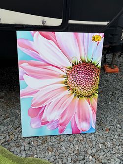 Wall Canvas