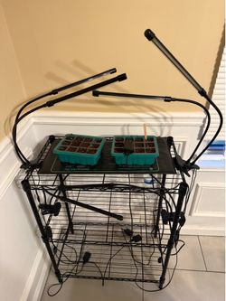 Plant growing kit