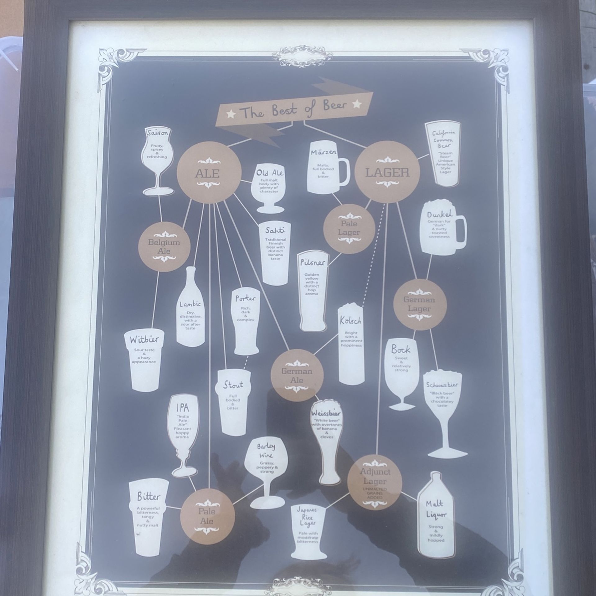 Best Of Beer Picture