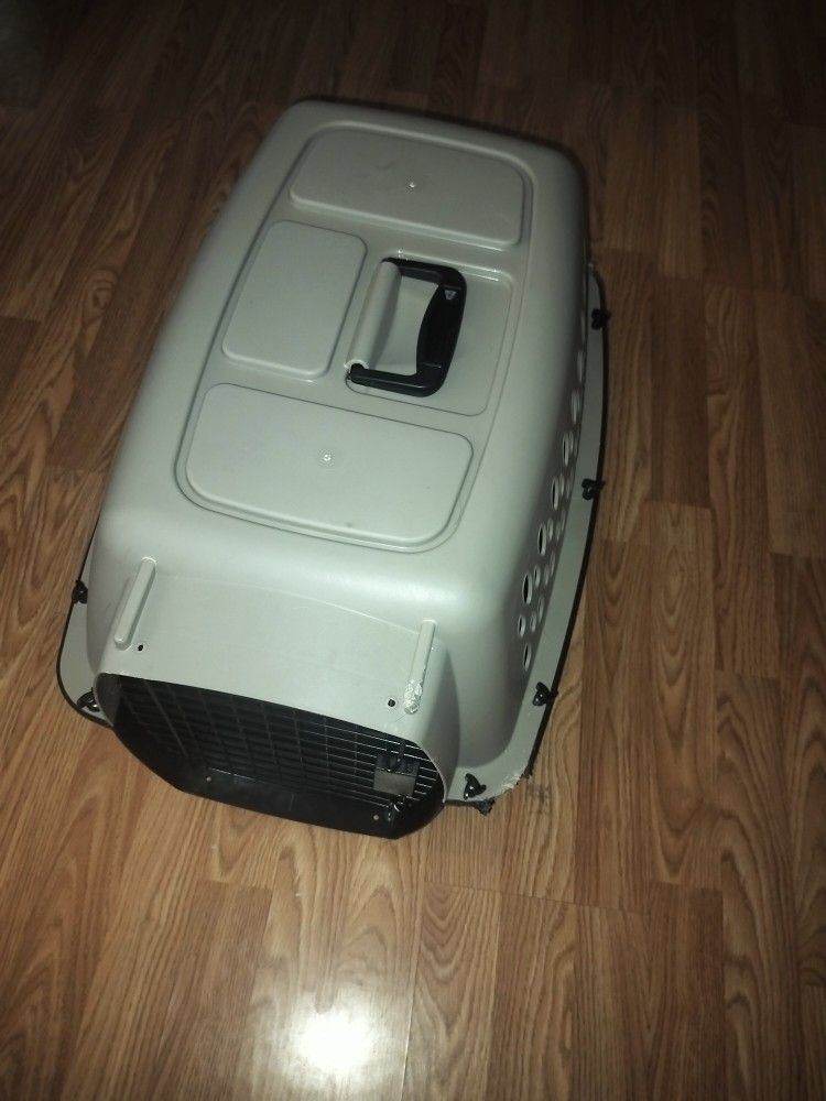 Dog Kennel
