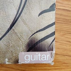 Brsnd New Elenents  Guital In Box 