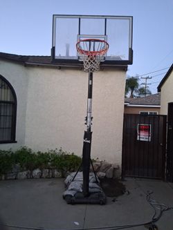 Spalding Basketball Court