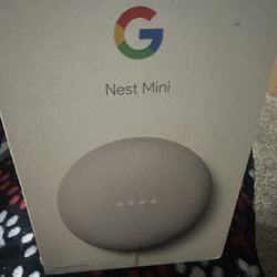 Nest Mini Goggle