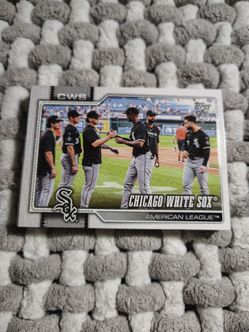 Chicago White Sox Baseball Cards topps 75