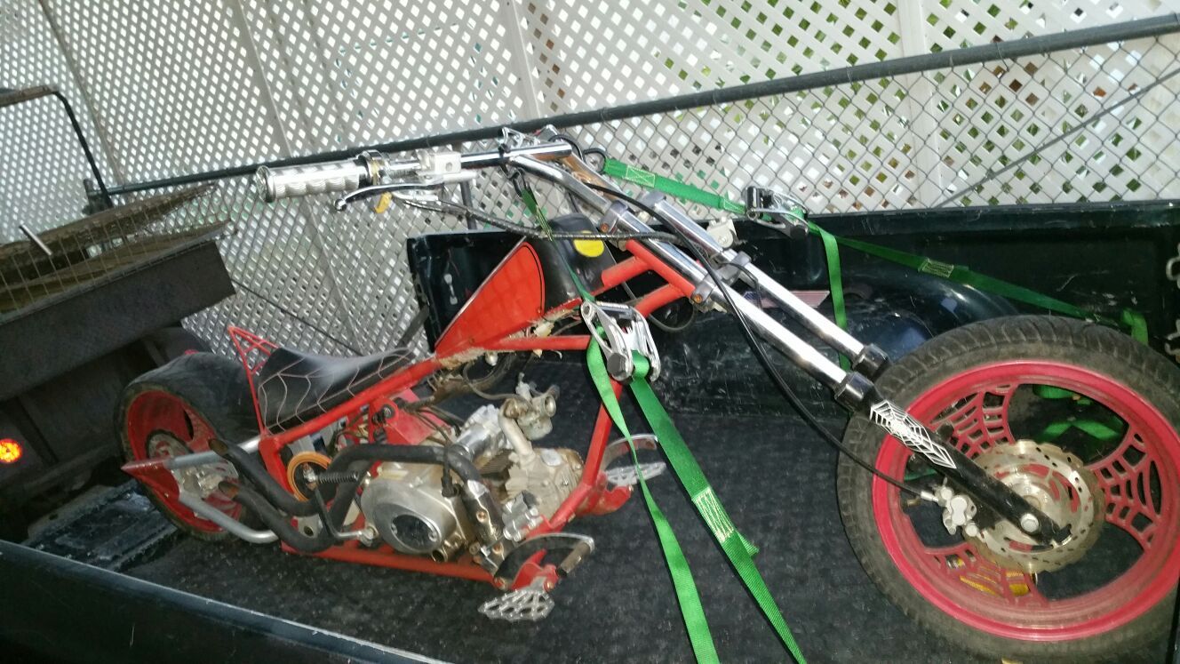 Occ mini chopper spider bike