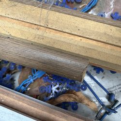Quarter Round Molding $1 Each 