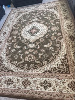 Brown carpet- 9 x 12ft