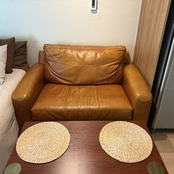 Leather Pull-out sleeper couch